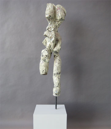torso